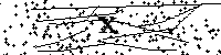 以下に表示されている文字や数字を入力してください