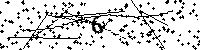 以下に表示されている文字や数字を入力してください
